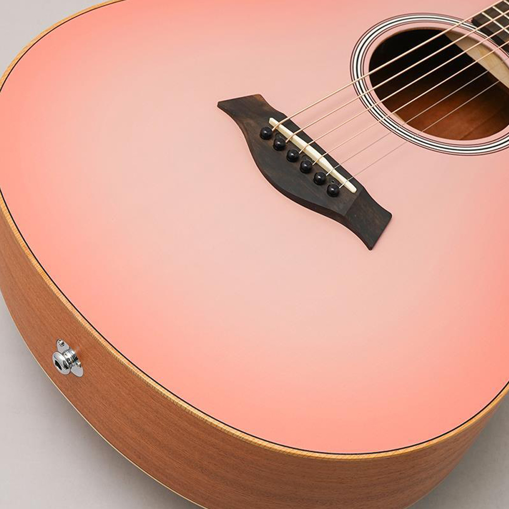 GS-Mini-e-Special-Edition-blush-paisley-7