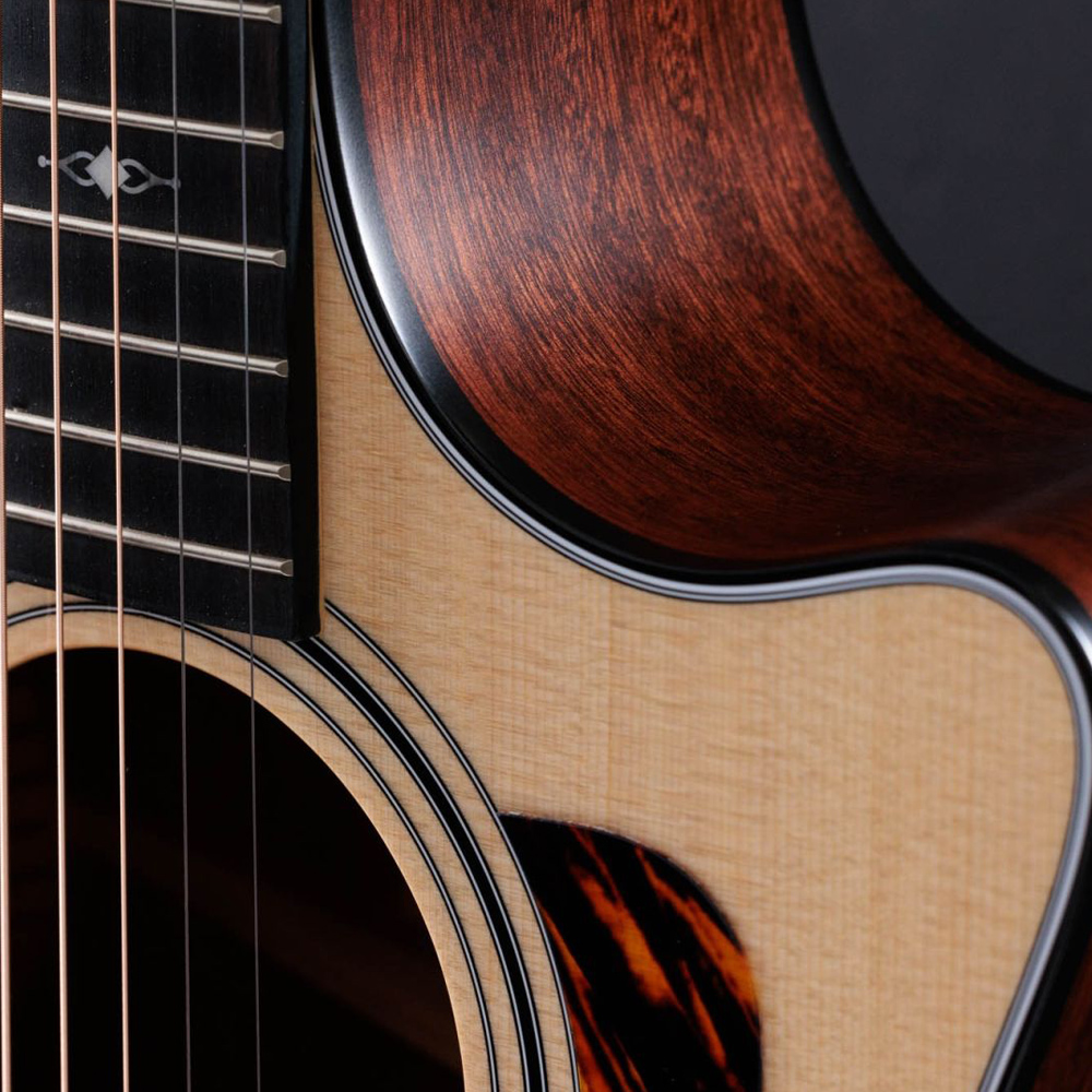 Taylor-314ce-1209113069-gallery-07-2023