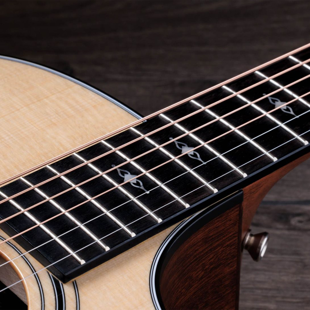 Taylor-314ce-1209113069-gallery-09-2023-Edit