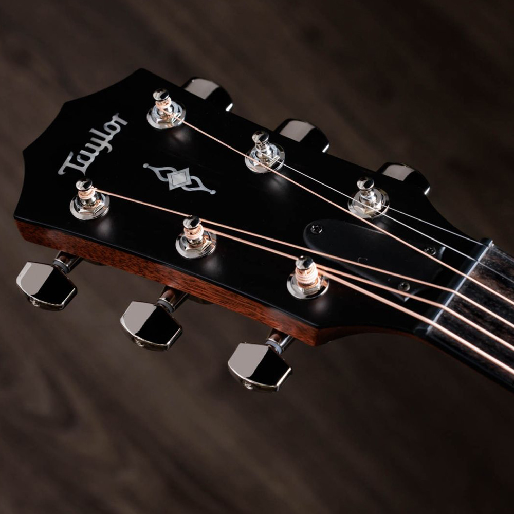 Taylor-314ce-1209113069-gallery-10-2023