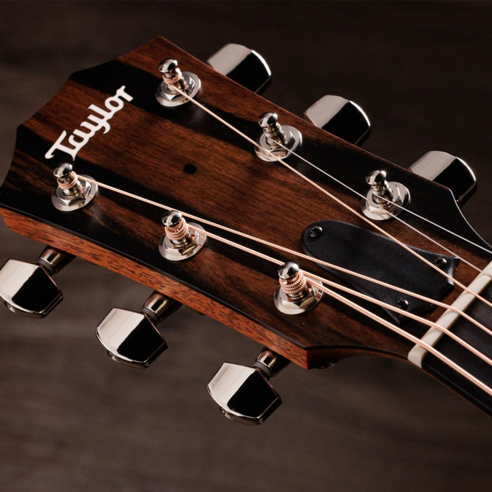 Taylor-414ce-6